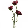 Floristik21 Künstliche Mohnblume Kunstpflanze Rot L55/60/70cm 3er-Set