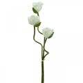 Floristik21 Kunstblume, künstliche Mohnblume, Klatschrose Weiß L55/60/70cm 3er-Set