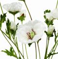 Floristik21 Mohnblume Klatschrose Weiß 3St