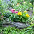Floristik21 Mohnkapsel zum Bepflanzen, Betondeko, Pflanztopf, Gartendeko L29,5cm