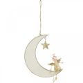 Floristik21 Adventsdeko, Engel auf Mond, Holzdeko zum Hängen Weiß, Golden H14,5cm B21,5cm 3St