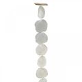 Floristik21 Muschel Girlande Perlmutt Muschelgirlande Capiz 195cm
