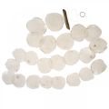 Muschel Girlande Perlmutt Muschelgirlande Capiz 195cm | Floristik21.de
