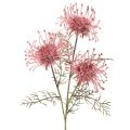 Floristik21 Kunstblume Protea Nadelkissen Zweig 65cm Rosa-Grün 3er Set