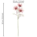 Kunstblume Protea Nadelkissen Zweig 65cm Rosa-Grün 3er Set | Floristik21.de