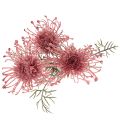Kunstblume Protea Nadelkissen