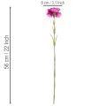 Nelke Kunstblume zweifarbig 56 cm 8er Bund Kunststoff/Textil | Floristik21.de