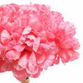 Floristik21 Künstliche Nelke Pink 25cm 7St Künstliche Pflanze wie echt !