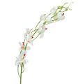 Floristik21 Orchidee Mokara Weiß 92cm 3St