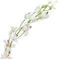 Floristik21 Orchidee Mokara Weiß 92cm 3St