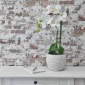 Floristik21 Übertopf Beton Weiß Vintage Blumentopf Weiß Wabenmuster H17,5cm Ø18,5cm