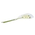 Floristik21 Orchidee Weiß künstlich L73cm 4St