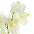 Floristik21 Orchidee künstlich Creme 50cm 6St