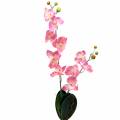 Floristik21 Orchidee Phalaenopsis künstlich Rosa 60cm
