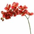 Floristik21 Künstliche Orchidee Phaelaenopsis Rot, Orange H81cm