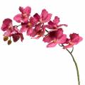 Floristik21 Künstlicher Orchideenzweig Pink H83cm