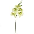 Floristik21 Orchidee Künstlich Gelb Grün Phalaenopsis 85cm