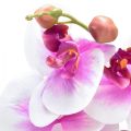 Floristik21 Orchidee Künstliche Phalaenopsis 4 Blüten Weiß Pink 72cm