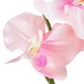 Floristik21 Orchidee Phalaenopsis künstlich 6 Blüten Rosa 70cm