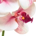 Floristik21 Orchidee Phalaenopsis künstlich 9 Blüten Weiß Fuchsia 96cm