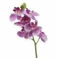 Floristik21 Orchidee mit Glitter, Rosa 35cm