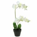 Floristik21 Orchideen Weiß im Topf Kunstpflanze H35cm