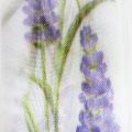 Organzaband Chiffonband Dekoband Lavendel 40mm 20m | Floristik21.de