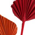 Floristik21 Palmspear mini sort. Rot/Orange 100St