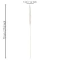 Pampasgras Trockenblumen Creme 70cm 15 Stiele | Floristik21.de