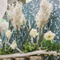 Floristik21 Pampasgras Weiß Künstliche Trockengräser Kunstpflanzen