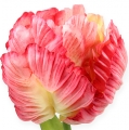 Floristik21 Papagei-Tulpe Pink 71cm 3St