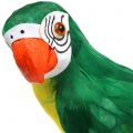 Deko Papagei Grün 44cm