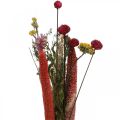 Floristik21 Trockenblumen Strauß mit Wiesenblumen Rosa DIY-Set H30-35cm