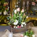 Floristik21 Pflanzgefäß, Dekokiste, Holzkasten mit Griffen, Bastelkiste Shabby Chic L25cm H10cm