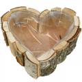 Floristik21 Pflanzgefäß, Holzschale Herzform, Pflanzkasten aus Birkenholz, Herzschale 27×28cm