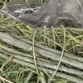 Deko Herz aus Naturgras mit Folie-Einsatz 14cm, Grün, 2er-Set, Trauerfloristik | Floristik21.de
