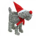 Floristik21 Hund zum Bepflanzen, Weihnachtsdeko, Pflanzkorb, Advent H30cm L29,5cm