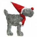 Floristik21 Hund zum Bepflanzen, Weihnachtsdeko, Pflanzkorb, Advent H30cm L29,5cm