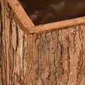 Pflanzkasten Holz Blumenkasten Pinienrinde 27×10cm Dekoration Natur | Floristik21.de