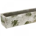 Floristik21 Pflanzkasten Beton Antik Look Blumenkasten rechteckig 40×8×7cm