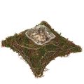 Floristik21 Pflanzkissen Reben Moos Schale Naturdeko 20x20x6,5 cm