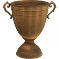 Floristik21 Metall Pflanzkübel Pokalvase in Rost-Optik für Vintage Dekoration Ø22,5cm H32,5cm