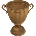 Metall Pflanzkübel Pokalvase in Rost-Optik für Vintage Dekoration Ø22,5cm H32,5cm | Floristik21.de