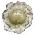 Rosenblüte zum Bepflanzen, Trauerfloristik, Steinrose, Betondeko Grau, Apricot, Violett Ø11cm L22cm H9cm