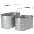 Floristik21 Pflanzschale mit Henkel, Metalltopf, Pflanzgefäß Silbern, Braun H22/20cm L42/40cm 2er-Set