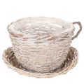 Floristik21 Korb-Tasse mit Unterteller aus Weide, 34 cm, Weiß-Grau, mit Folie