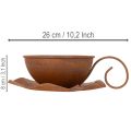 Pflanztasse mit Untertasse Pflanztopf Rost Ø19,5cm H8cm | Floristik21.de
