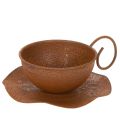 Floristik21 Pflanztasse mit Untertasse Vintage Rost Ø17,5cm H6cm
