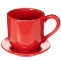 Keramik Pflanzgefäß Tasse mit Unterteller Rot 17cm | Floristik21.de