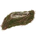 Floristik21 Pflanzschale Reben mit Moos 31x15x7cm für natürliche Deko Zimmer Grab Floristik